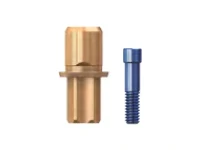 اباتمنت تای بیس اسکای بردنت (Bredent)