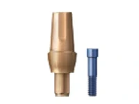 اباتمنت مستقیم استتیک اسکای بردنت (Bredent)