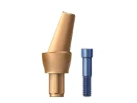 اباتمنت زاویه دار استتیک اسکای بردنت (Bredent)