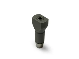 اسکن بادی تی استرانگ (T-Strong)
