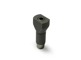 اسکن بادی تی استرانگ (T-Strong)